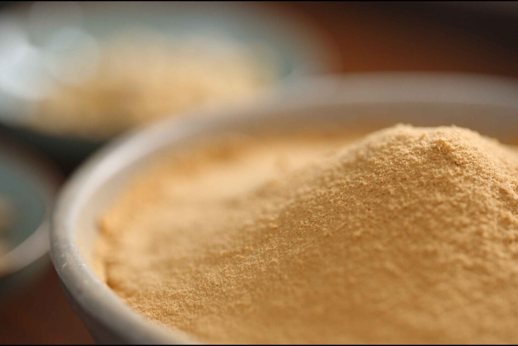 Soy sauce powder2