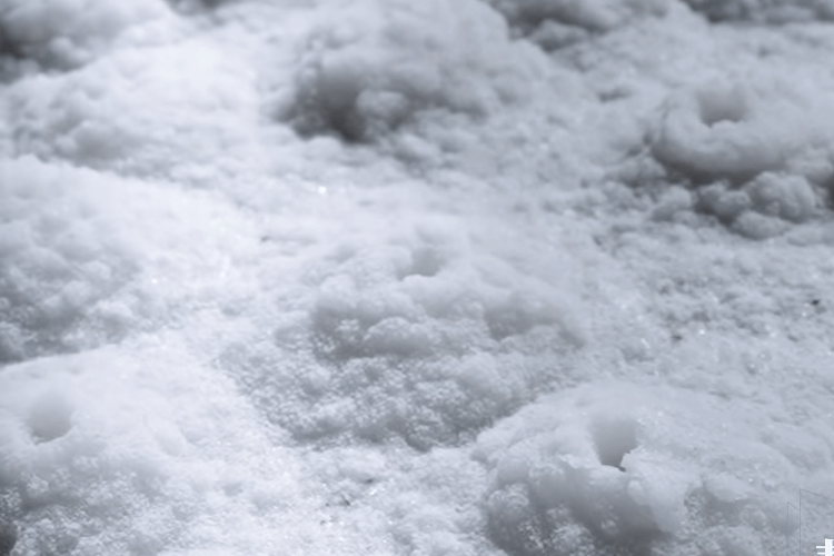 the salt 1 (1)