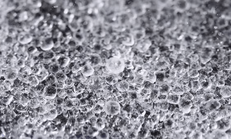 the salt 2 (1)