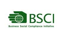 BSCI
