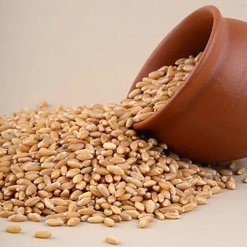 wheat